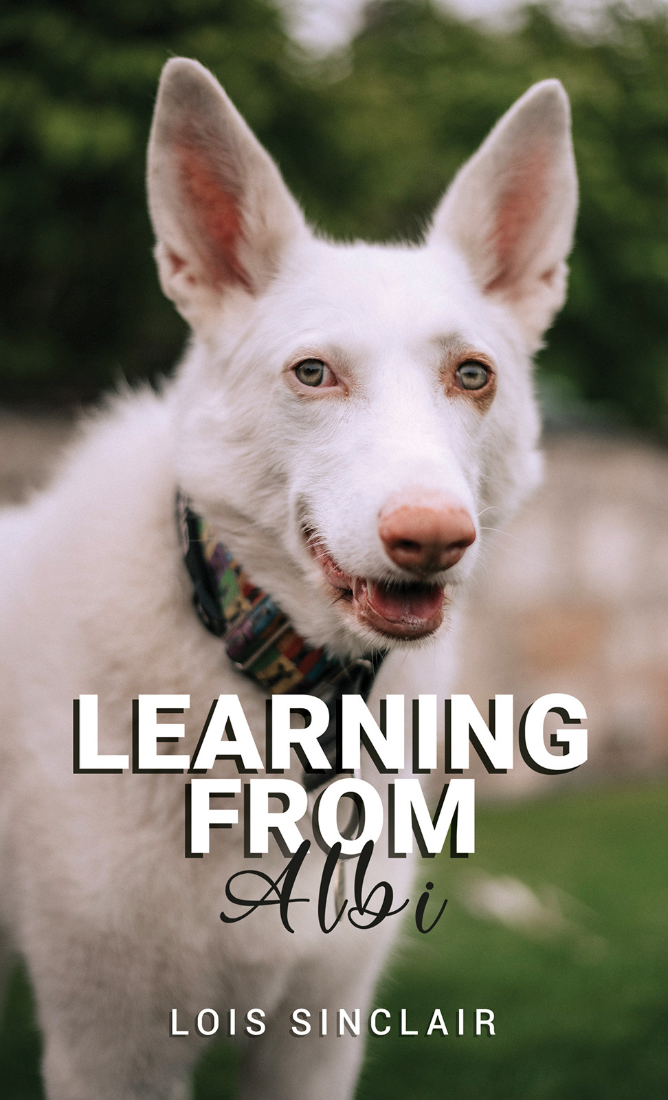 Learning from Albi-bookcover