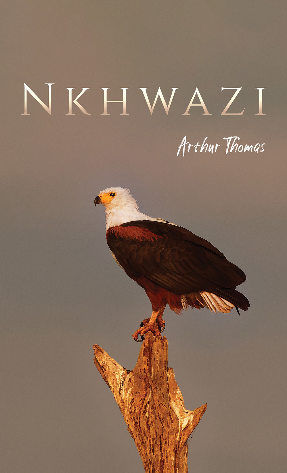 Nkhwazi-bookcover