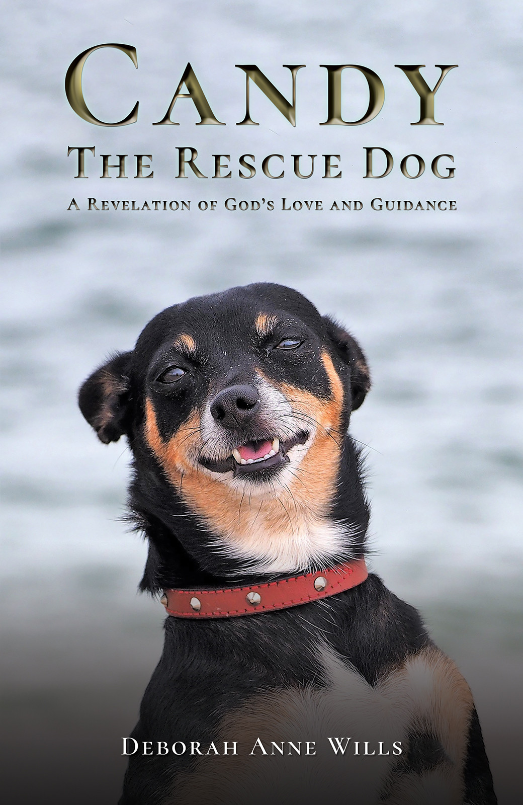 Candy the Rescue Dog-bookcover