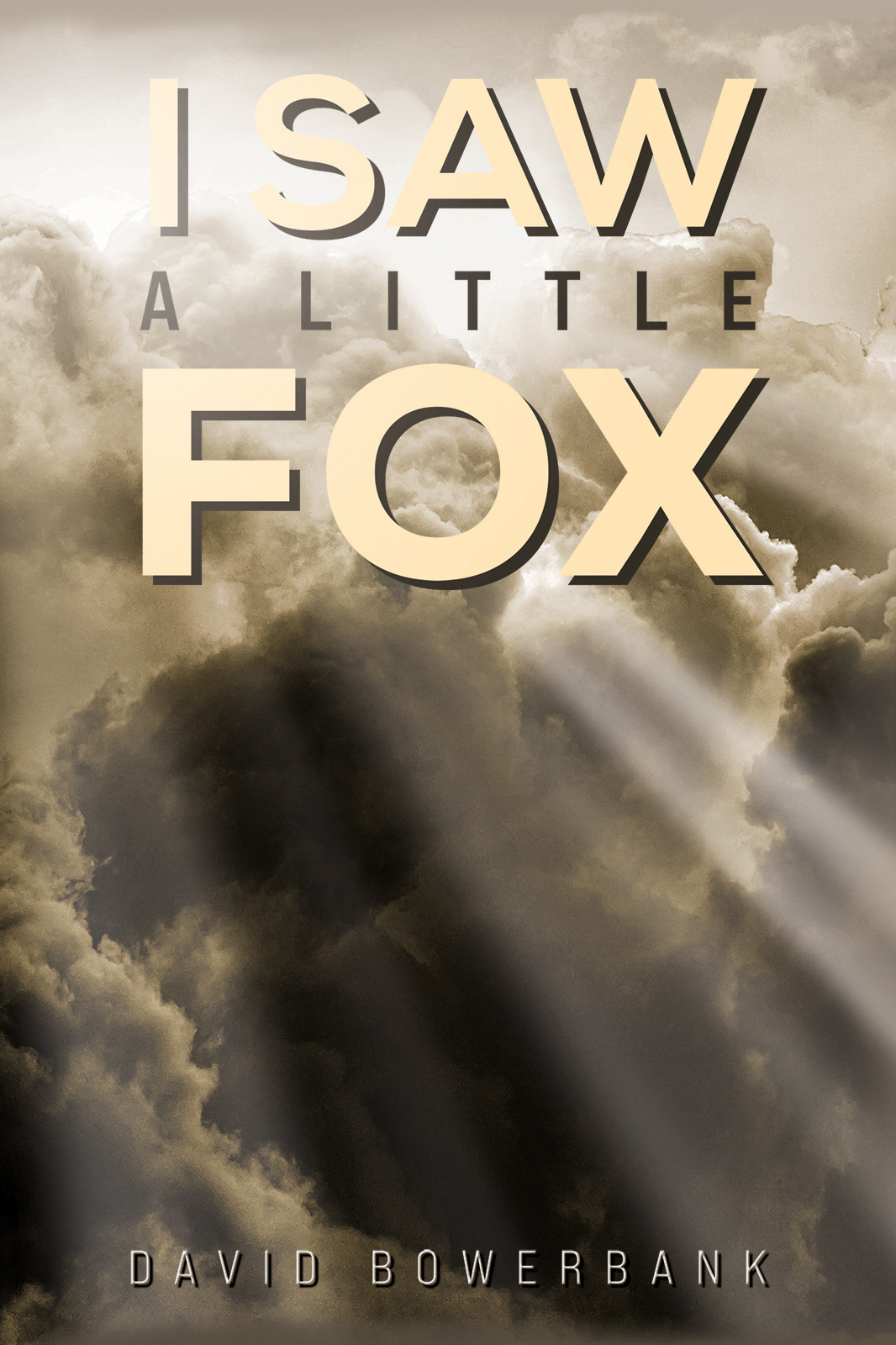 I Saw a Little Fox-bookcover