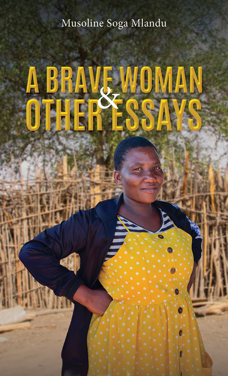 A Brave Woman & Other Essays-bookcover