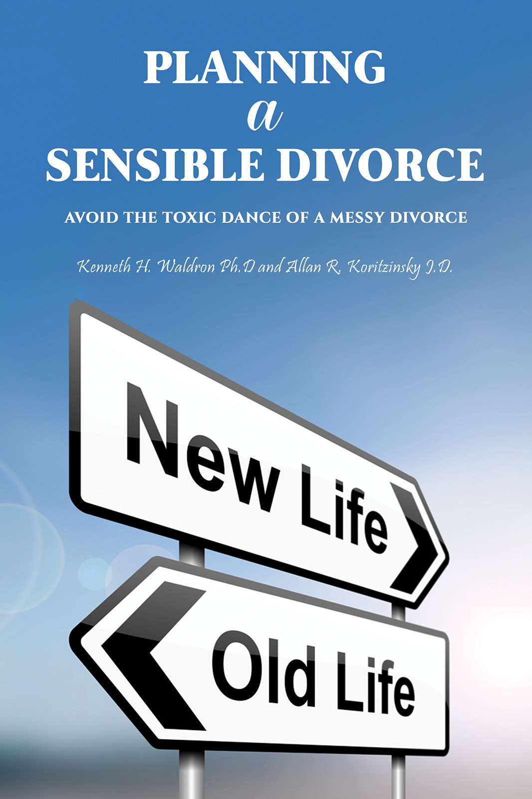 Planning a Sensible Divorce-bookcover