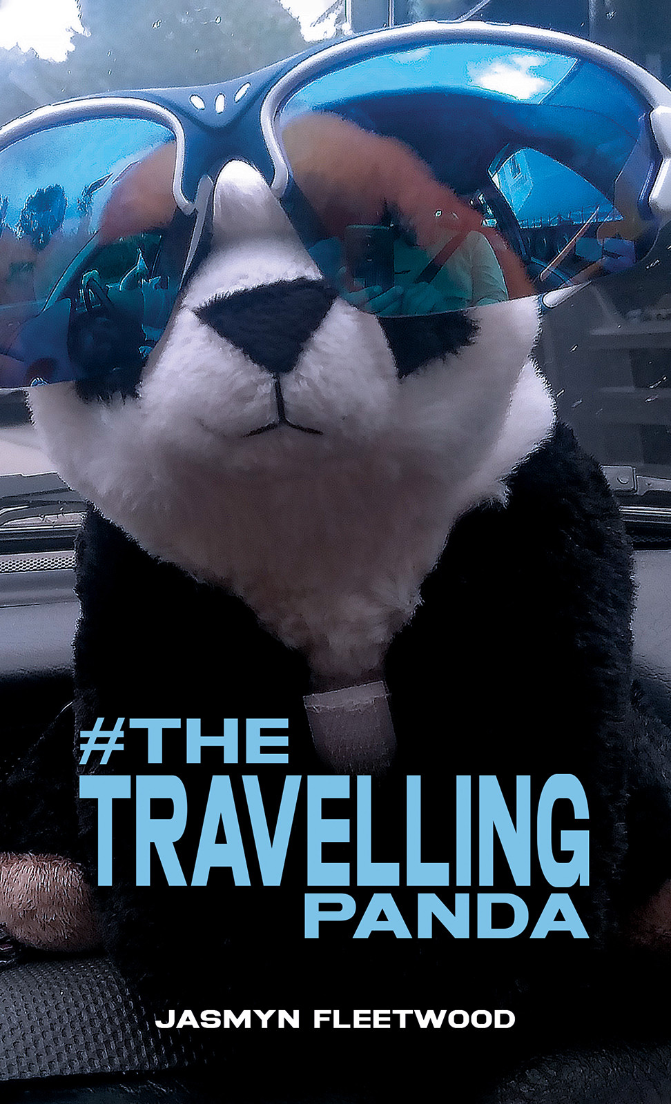 #The Travelling Panda-bookcover