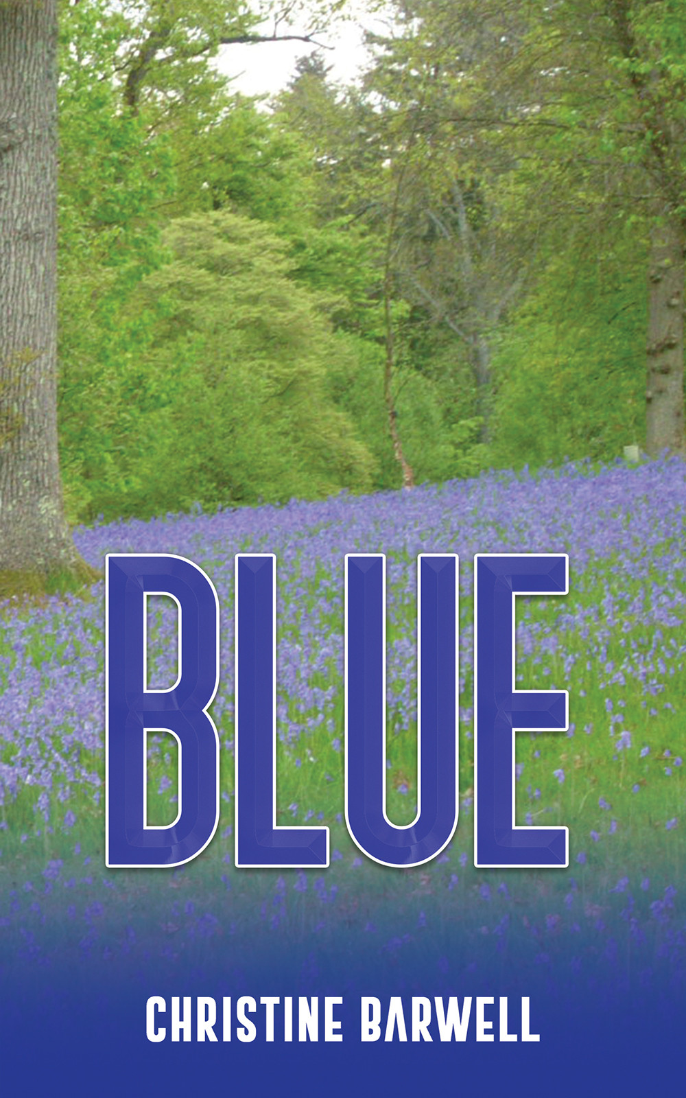 Blue-bookcover