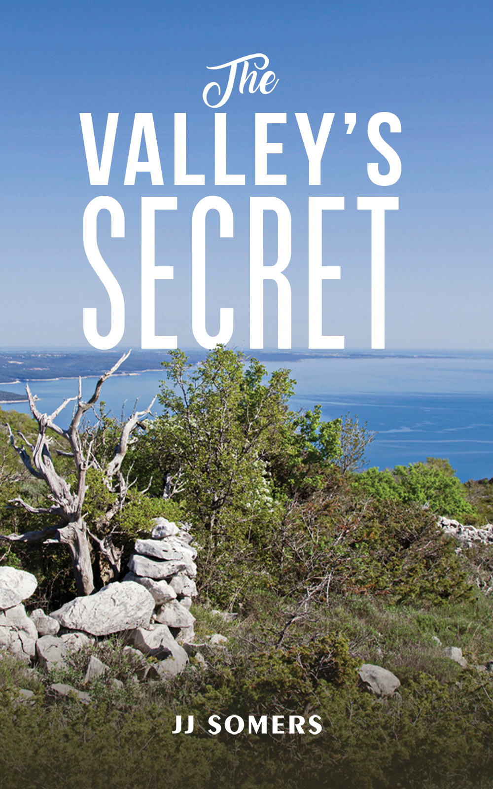 The Valley's Secret-bookcover