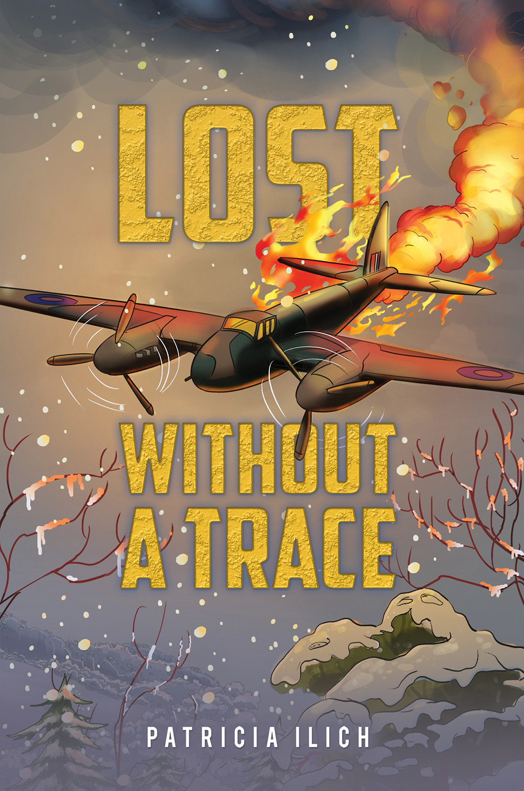 Lost Without a Trace-bookcover