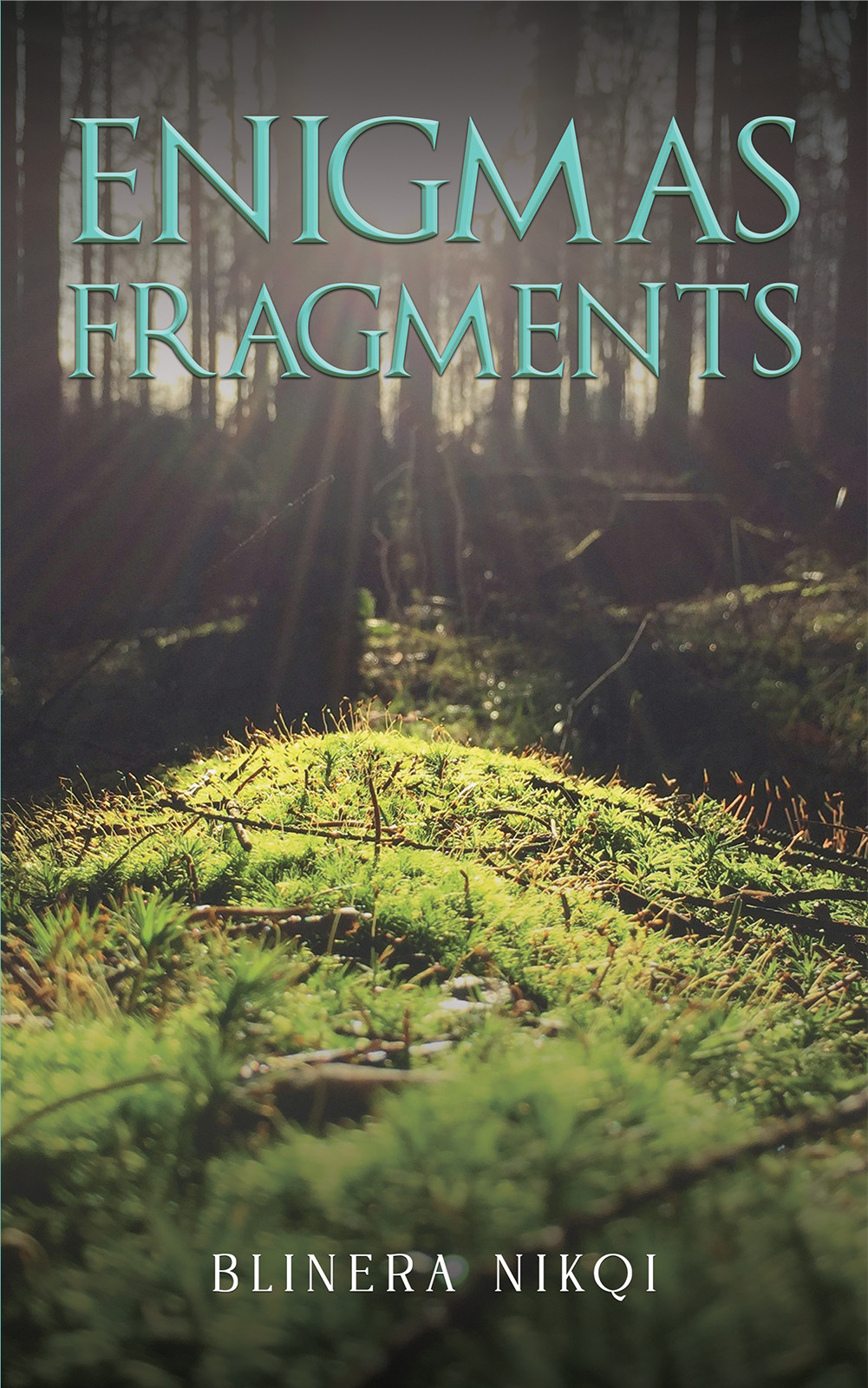 Enigmas Fragments-bookcover