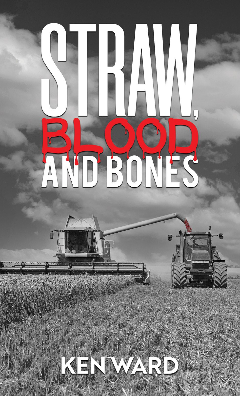 Straw, Blood and Bones-bookcover
