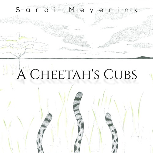 A Cheetah's Cubs-bookcover