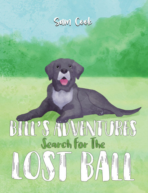Bill’s Adventures: Search for the Lost Ball-bookcover