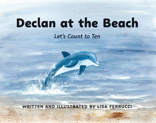 Declan at the Beach-bookcover