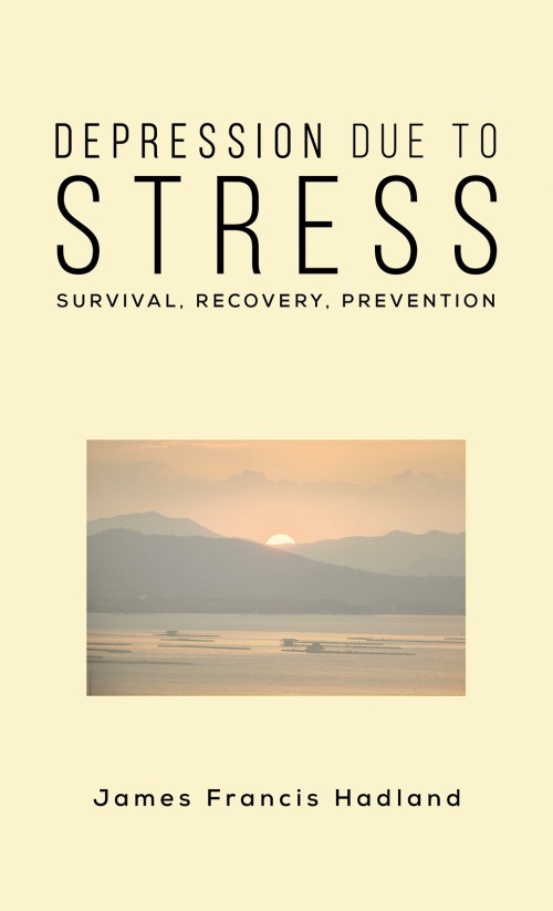 Depression Due to Stress-bookcover