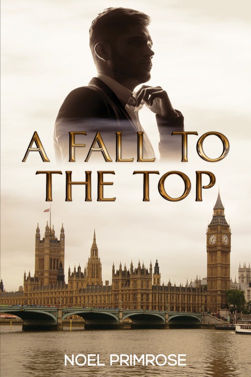 A Fall to the Top-bookcover