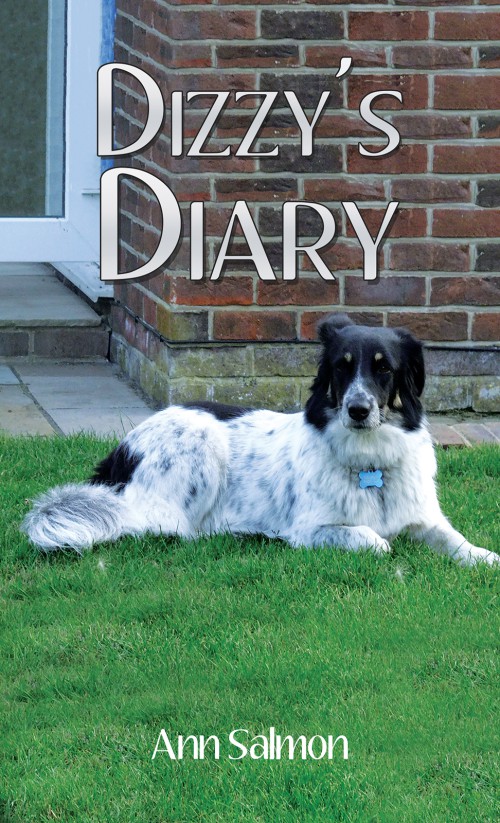 Dizzy's Diary-bookcover