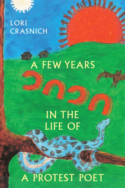 A Few Years In The Life of a Protest Poet-bookcover