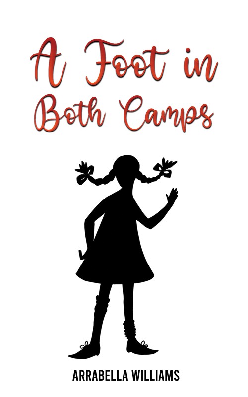 A Foot in Both Camps-bookcover