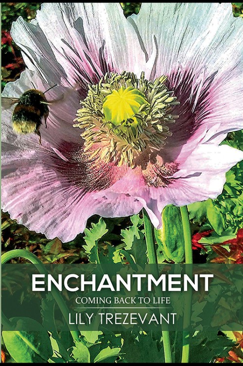 Enchantment: Coming Back to Life-bookcover