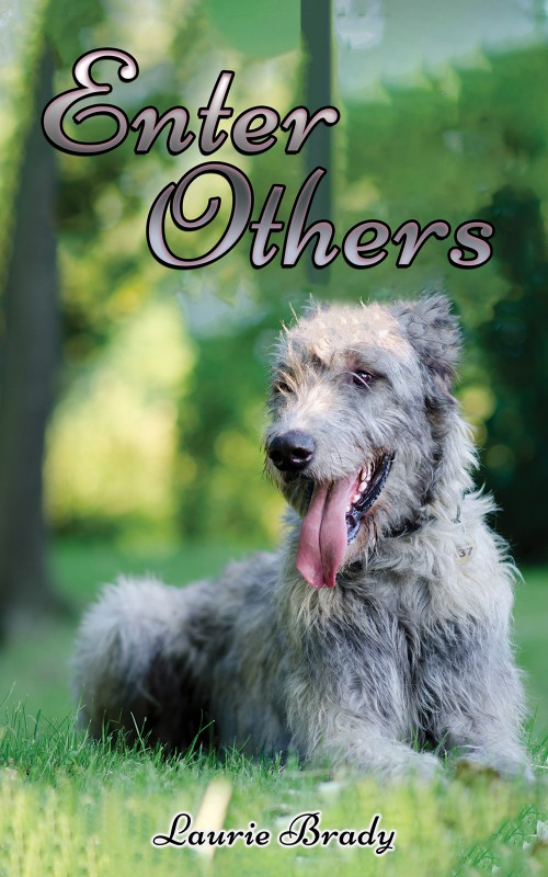 Enter Others-bookcover