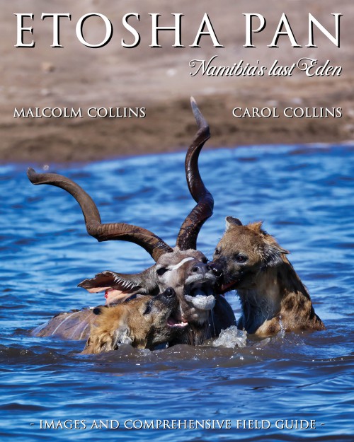 Etosha Pan-bookcover