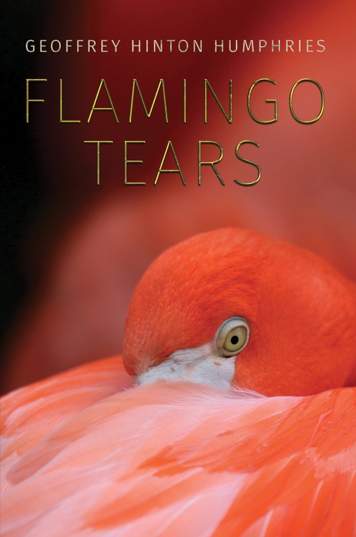 Flamingo Tears-bookcover