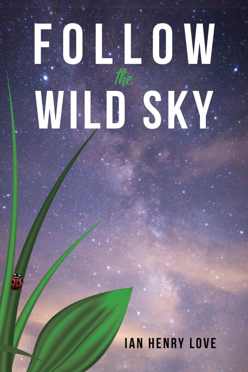 Follow The Wild Sky-bookcover