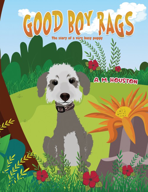 Good Boy Rags-bookcover