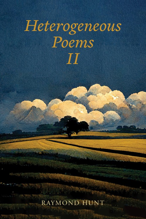 Heterogeneous Poems 2-bookcover
