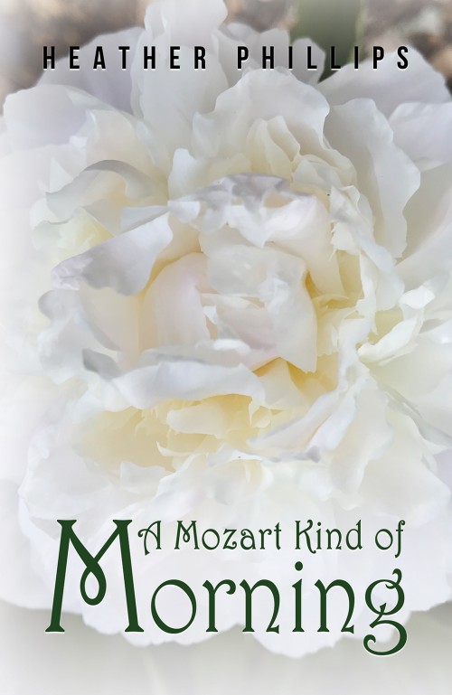 A Mozart Kind of Morning-bookcover