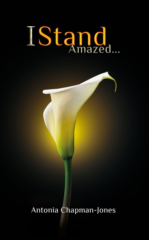 I Stand Amazed...-bookcover
