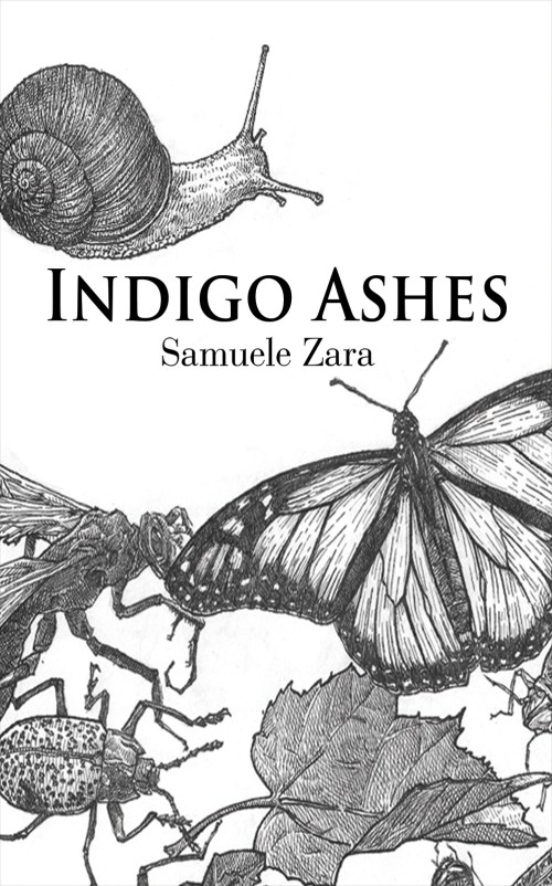 Indigo Ashes-bookcover
