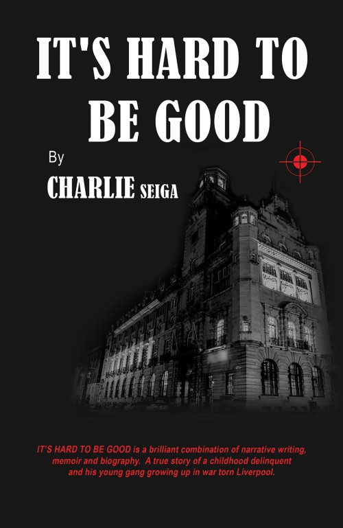 It's Hard to Be Good-bookcover