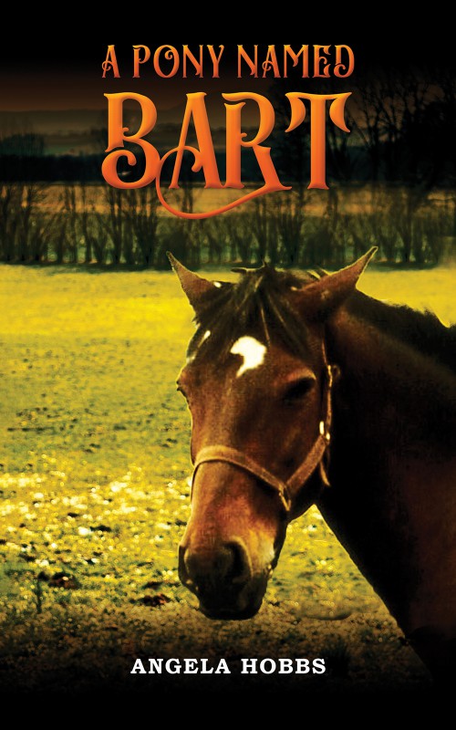 A Pony Named Bart-bookcover