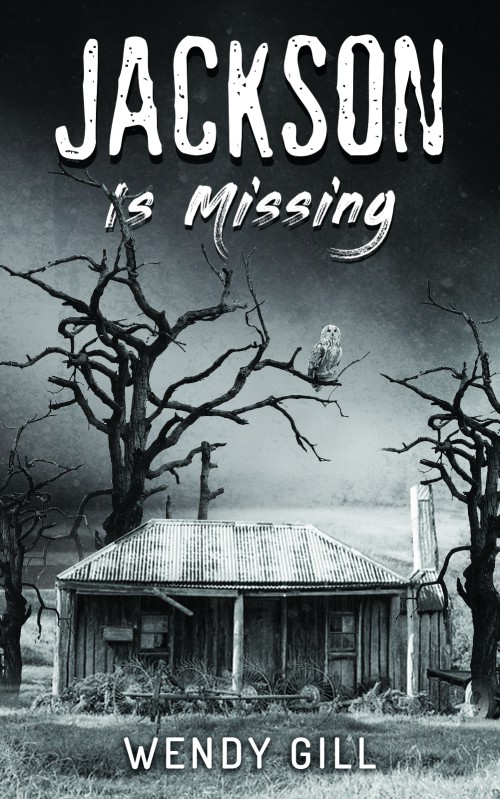 Jackson Is Missing-bookcover