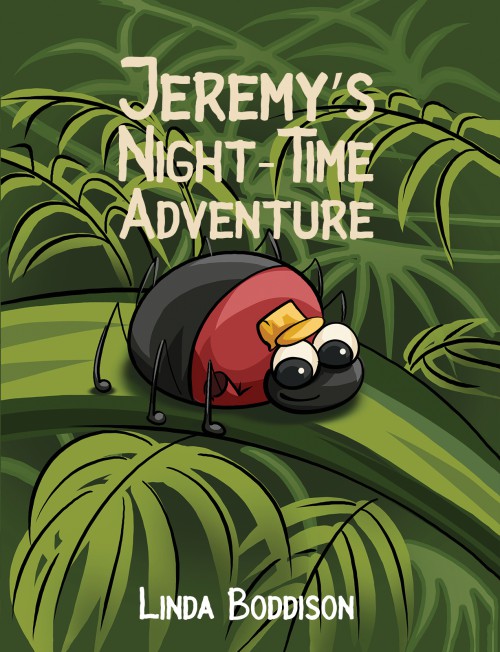 Jeremy's Night-Time Adventure-bookcover