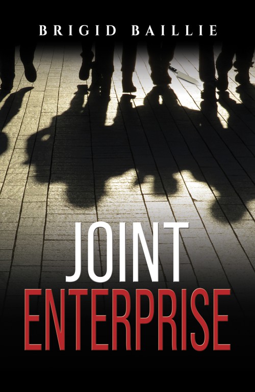 Joint Enterprise-bookcover