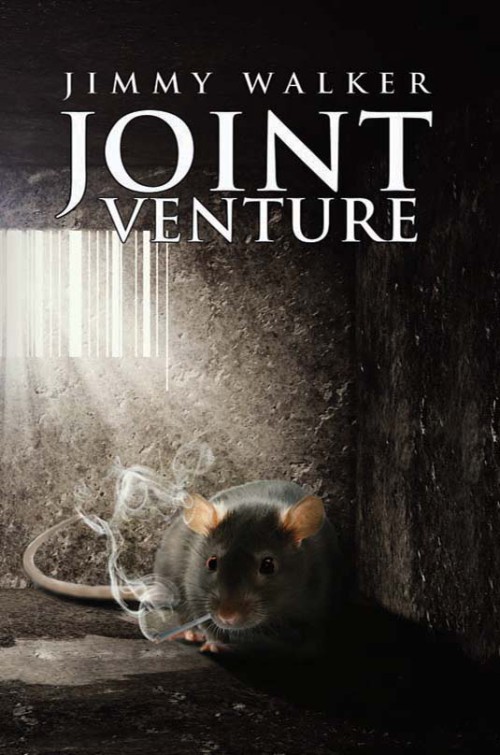 Joint Venture-bookcover