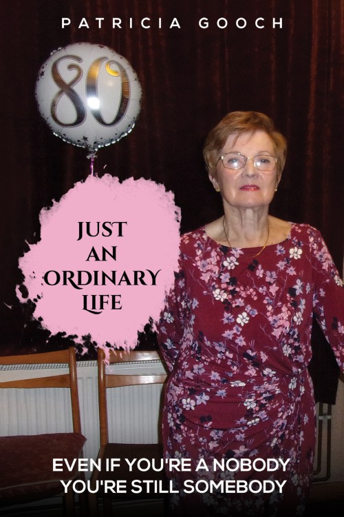 Just An Ordinary Life-bookcover