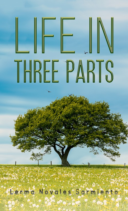 Life in Three Parts-bookcover