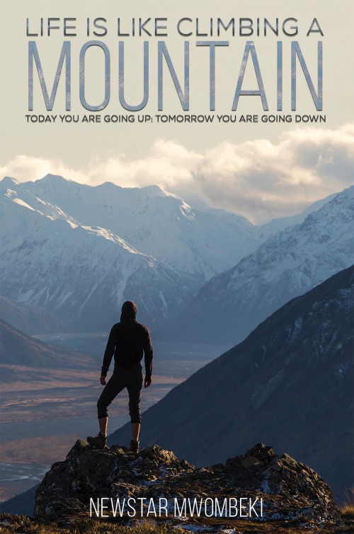 Life Is Like Climbing a Mountain-bookcover