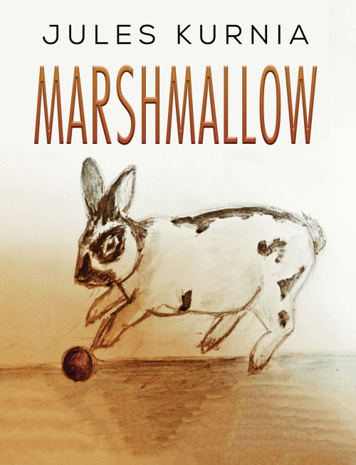 Marshmallow-bookcover