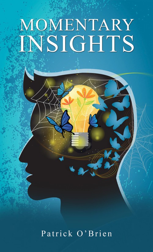 Momentary Insights-bookcover