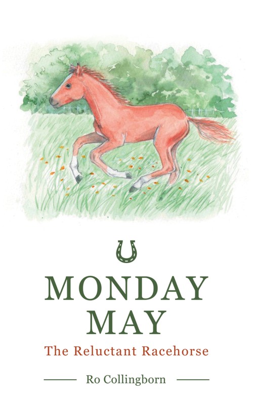 Monday May-bookcover