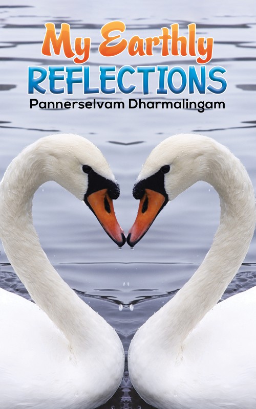 My Earthly Reflections-bookcover