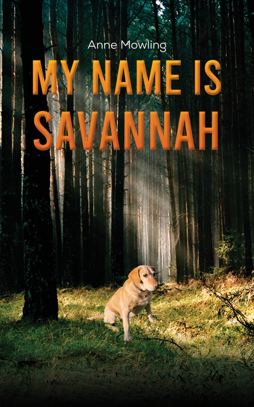 My Name is Savannah-bookcover