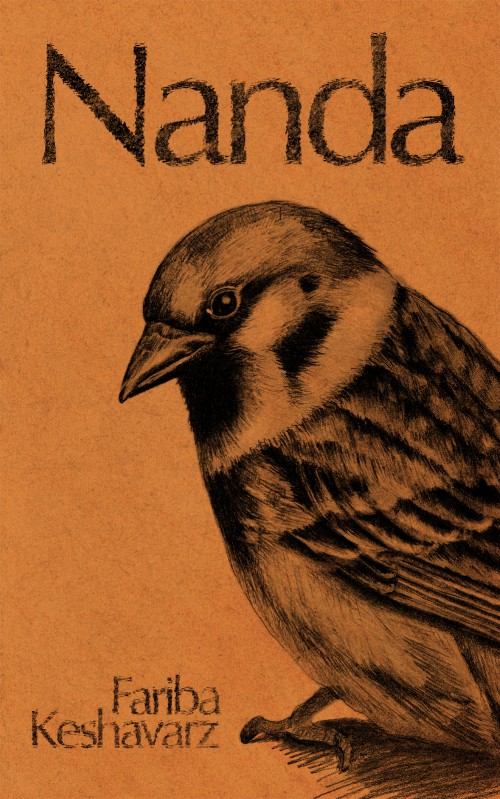 Nanda-bookcover