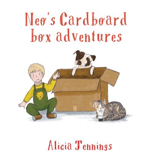 Neo's Cardboard Box Adventures-bookcover