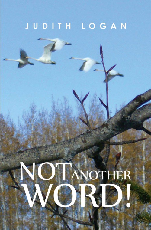 Not Another Word!-bookcover