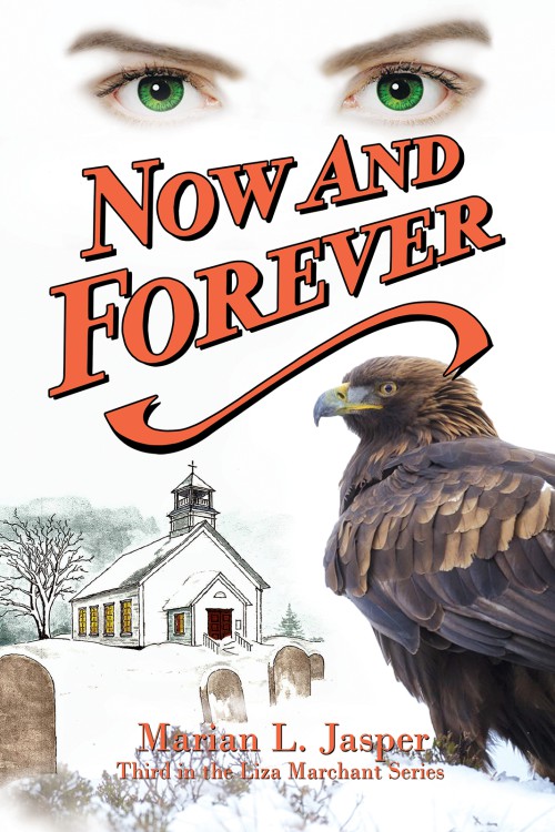 Now and Forever-bookcover