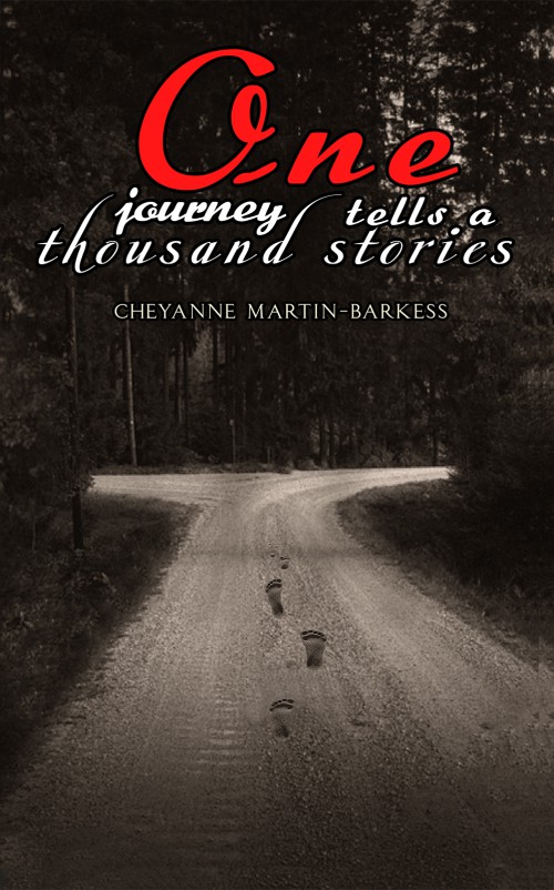 One Journey Tells a Thousand Stories-bookcover