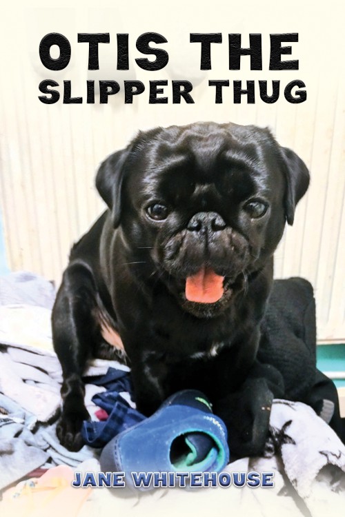 Otis the Slipper Thug-bookcover